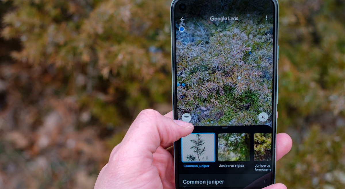 SEO per le immagini: come migliorare il posizionamento organico